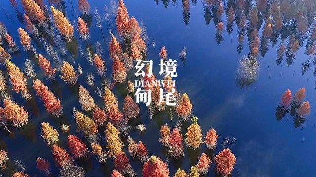 88影视