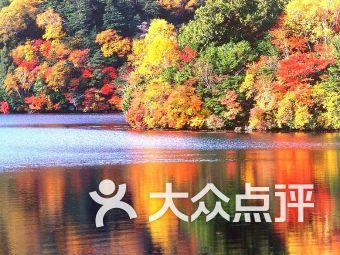 梦幻西游手游