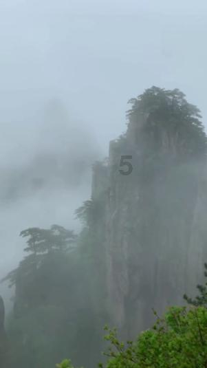 逃离月日森林