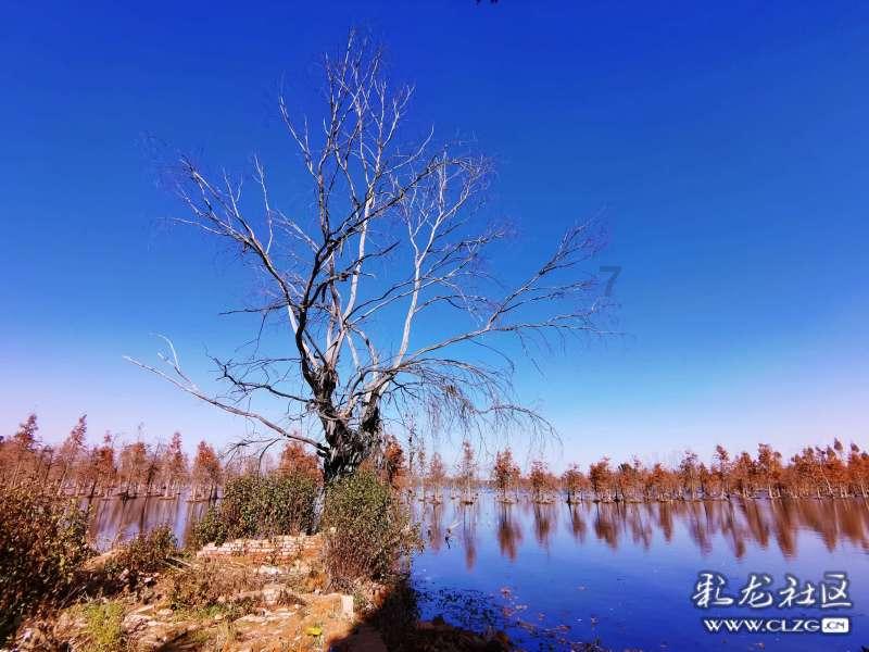 油漆墙面