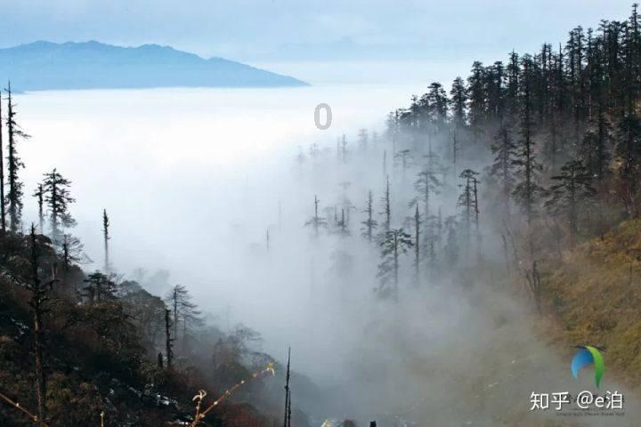 滚动的奶酪