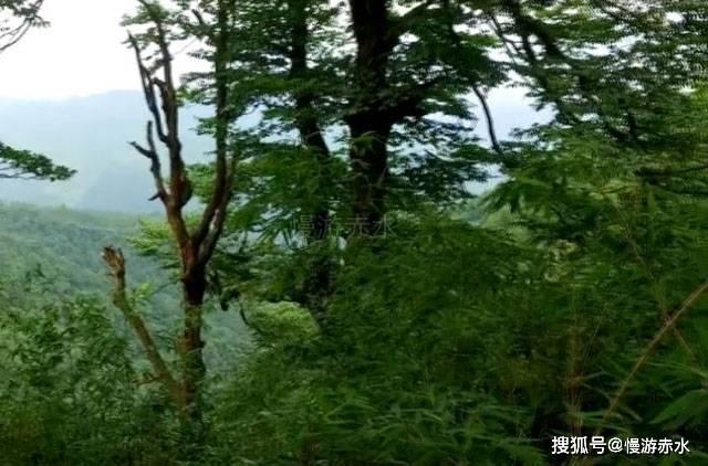 4399封神霸业