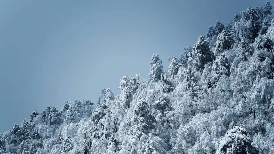 男生说不是我的不能乱想怎么回复？游戏画面