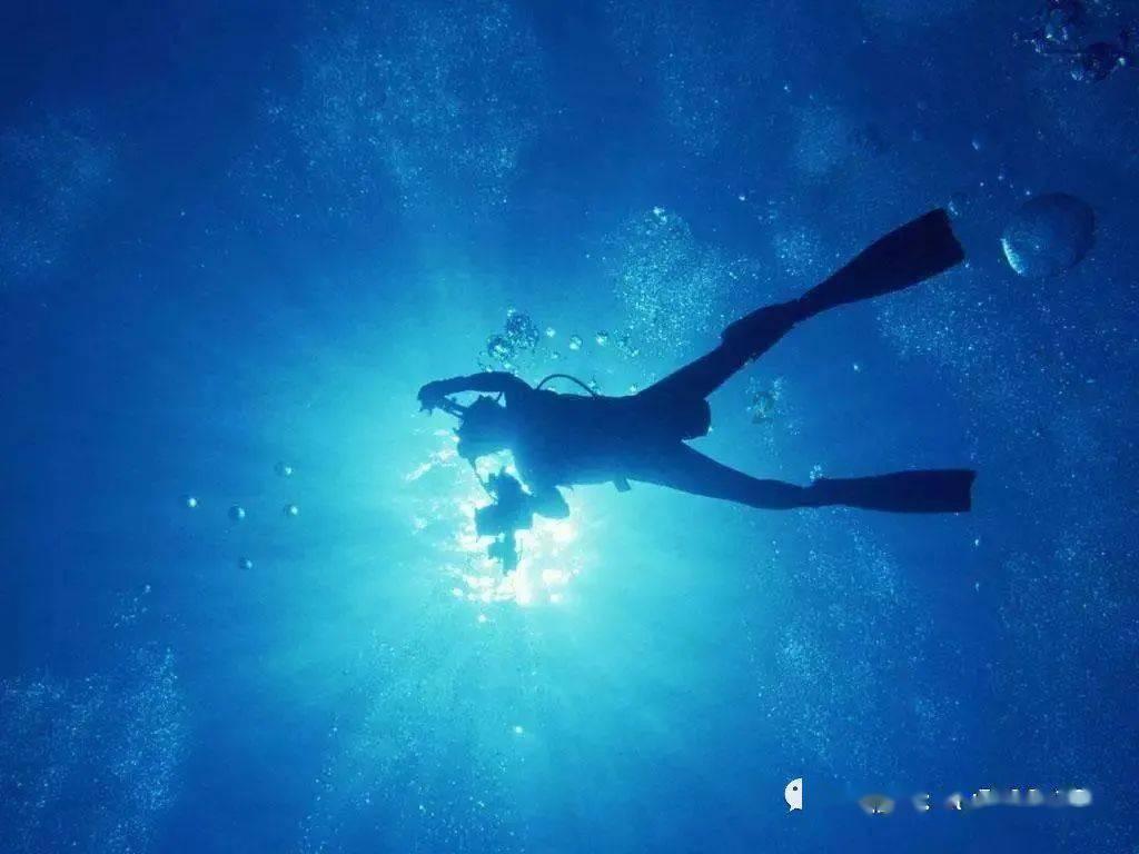 新一代“东本UR-V”上线，外观化身“大包子”，内饰换脸成功