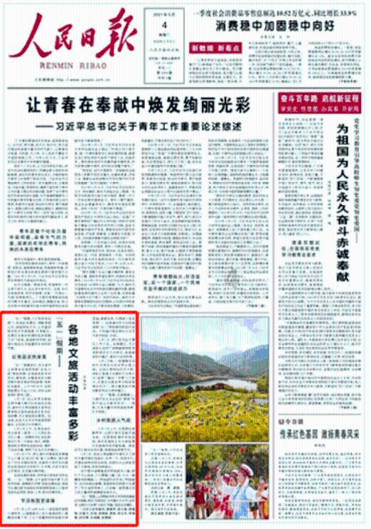 夏日的婚礼