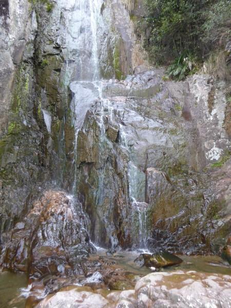 “农”墨重彩写华章 和美乡村谱新篇