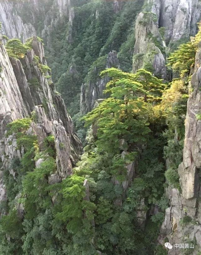 消灭红球大作战